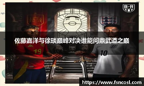 佐藤嘉洋与徐琰巅峰对决谁能问鼎武道之巅