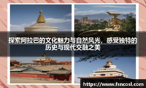 金年会